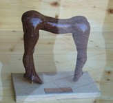 la cellule img1